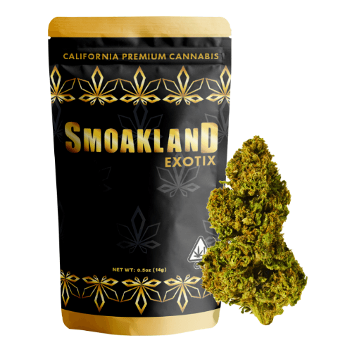 Exotix - Guava Tartz (S) - 14g