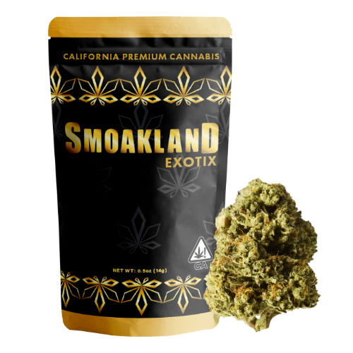 Exotix - Kryptochronic (I) - 14g