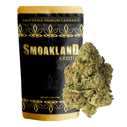 Exotix - Space Monkey (H) - 14g