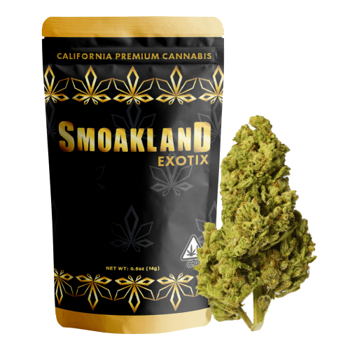 Exotix - Animal Cookies (H) - 14g