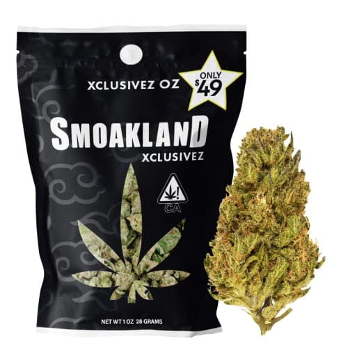 Exclusive - Face Fat (H) - 28g