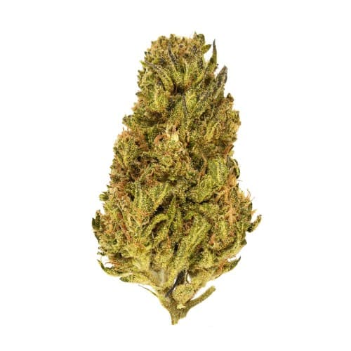 Xclusivez - Face Fat (H) - 28g