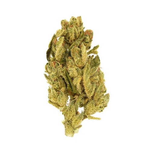 Exclusive - Fog DOG (I) - 28g