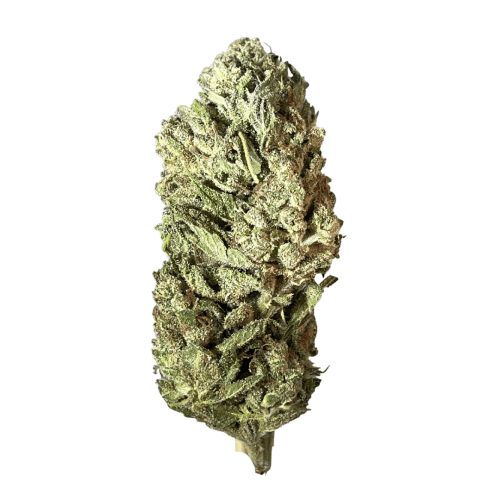 Exclusive - Froot by the Foot (I) - 28g