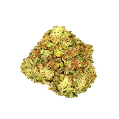 Black - GMO Cookies (I/H) - 14g