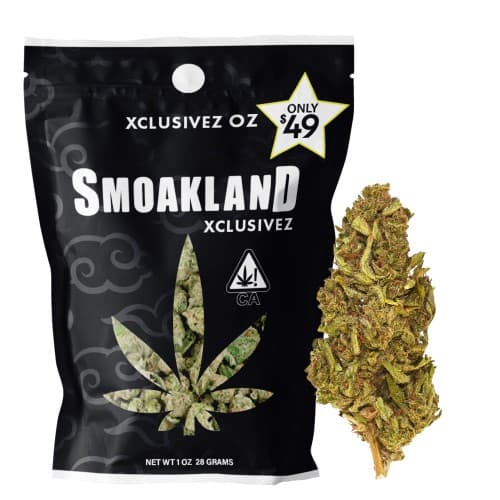 Xclusivez - Gary Payton (H) - 28g