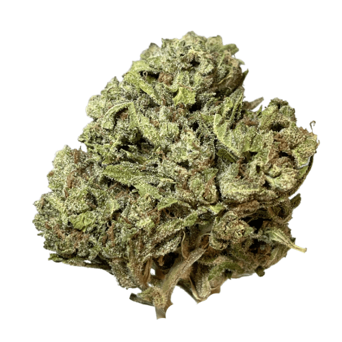 Exclusive - Gorilla Glue (H) - 28g