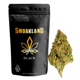 GovernMint Oasis (Indica) - 14g