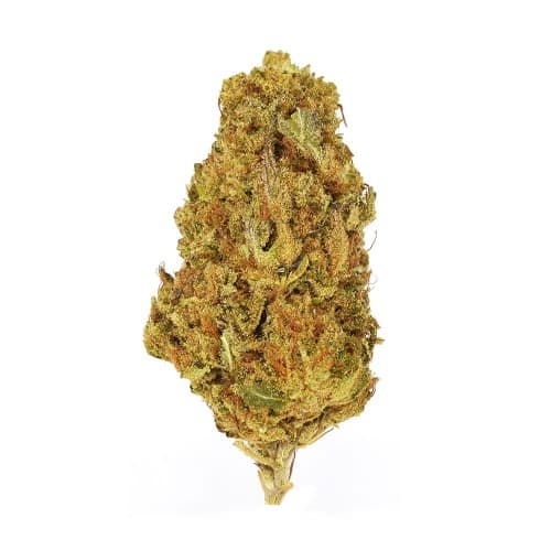 Exotix - Grape Soda (I) - 14g