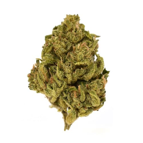 Exclusive - Grease Gun (H) - 28g