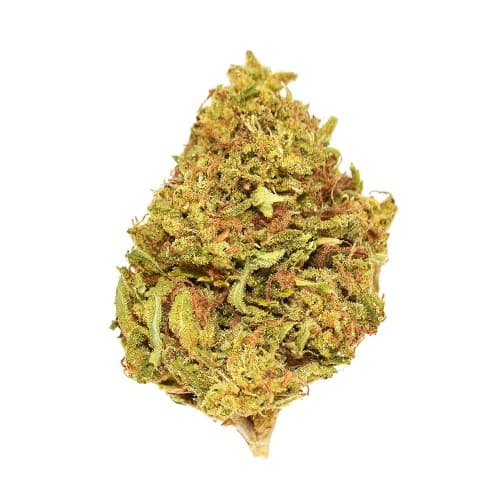 Xclusivez - Gushers (I) - 28g