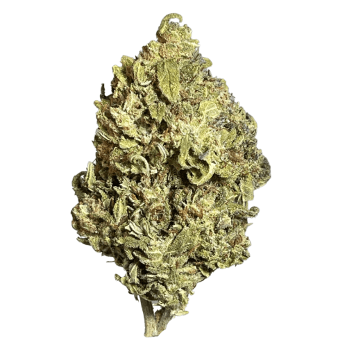 Black - Jelly Rancher (S) - 14g