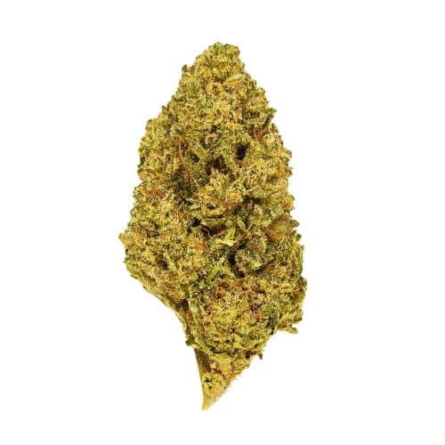 Exotix - Jelly Donuts (I) - 14g