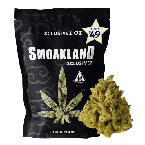 Xclusivez - Jet Fuel (S) - 28g