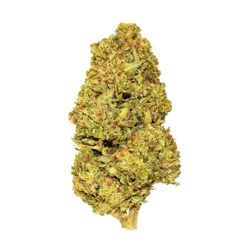 Xclusivez - Key Lime Pie (S) - 28g