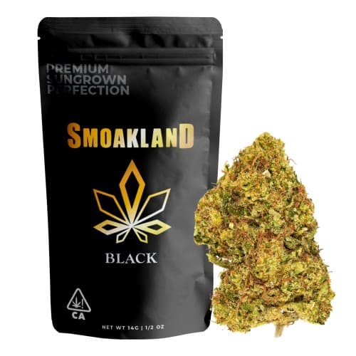 Black - L.A. Diamond - 14g