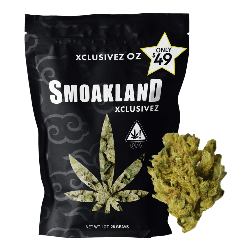 Xclusivez - NY Diesel (S) - 28g