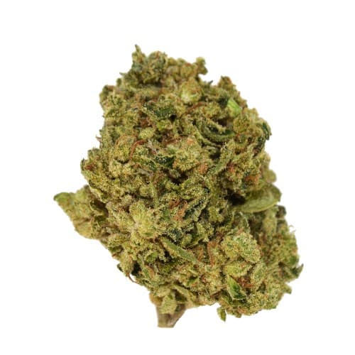 Exclusive - Purple Push Pop (I) - 28g