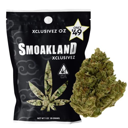 Xclusivez - Rainbow Sherbet (H) - 28g