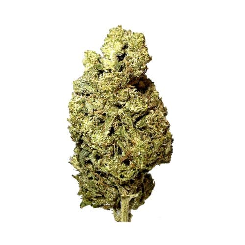 Black - Royal Cookies (H) - 14g