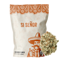 Strawberry Dream (S) - 28g Si Señor