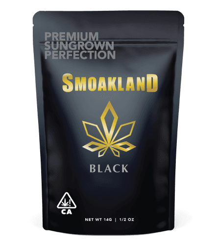 BLACK - Iced Cherry Pie (I) - 14g