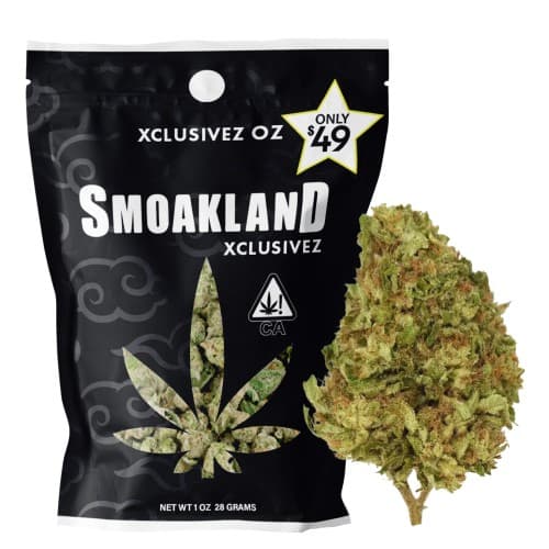 Xclusivez - Wappa (H) - 28g