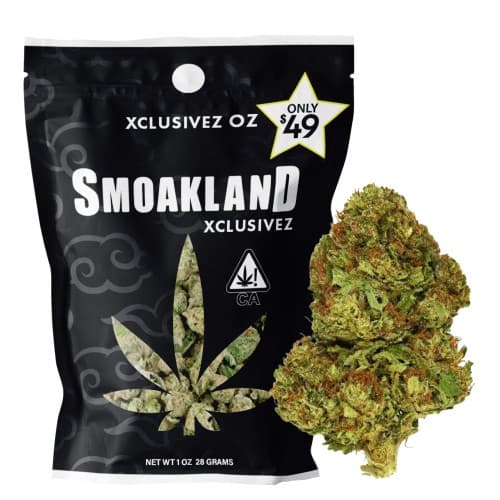 Xclusivez - Tropical Zkittles (H) - 28g