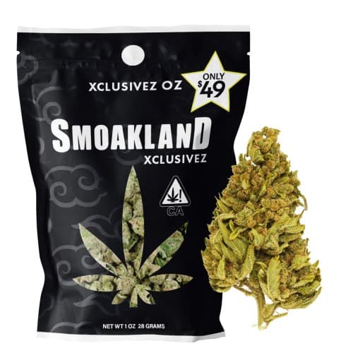 Xclusivez - Tutti Frutti (H) - 28g