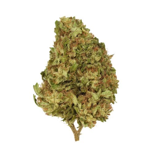 Xclusivez - Wappa - 28g