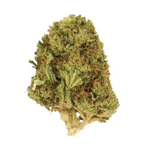 Xclusivez - Wedding Cake (I) - 28g