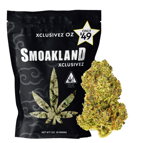 Xclusivez - Blueberry Muffin (I/H) - 28g