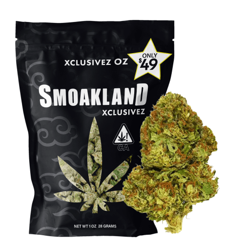 Xclusivez - Citrus Punch (S) - 28g