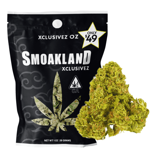 Xclusivez - Sherb Cream (I) - 28g