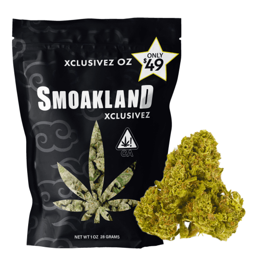 Xclusivez - AK-47 (S) - 28g