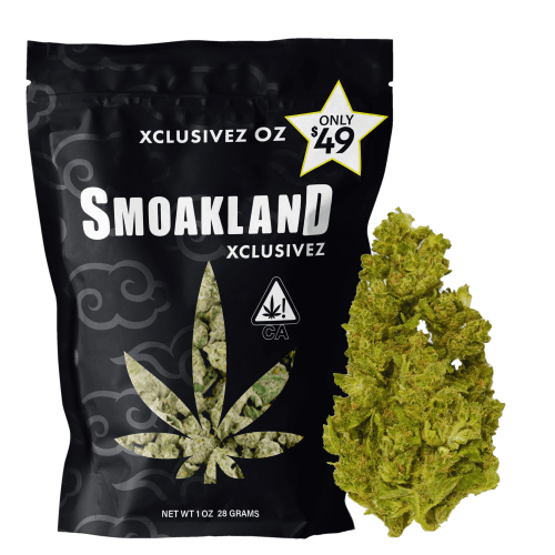 Xclusivez (SEEDED) - Rainbow Zkittlez (H) - 28g