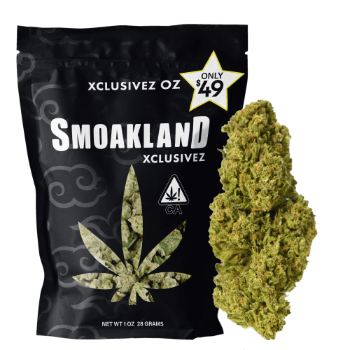 Xclusivez - Laffy Taffy (S) - 28g