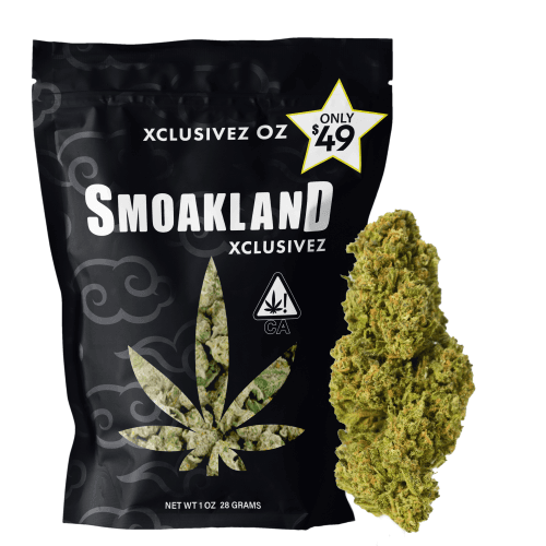 Xclusivez - Hyphy Haze (S) - 28g