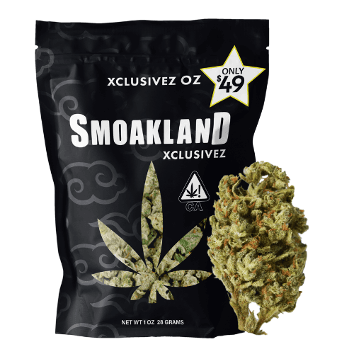 Xclusivez - Bad Bunnyy (H) - 28g