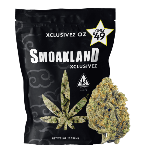 Xclusivez - Beast Mode (I) - 28g