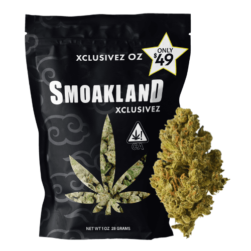 Xclusivez - GMO (H) - 28g