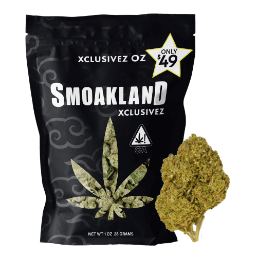 Xclusivez - Girl Scout Cookies (H) - 28g