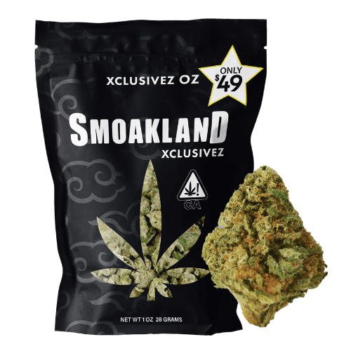 Xclusivez - Lemon Cherry OG (H) - 28g