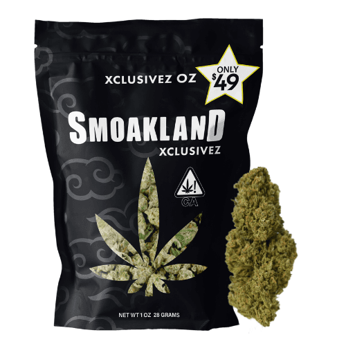 Xclusivez - Mendo Purps (I) - 28g