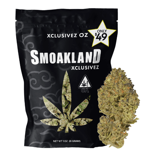 Xclusive - Northern Lights (I) - 28g