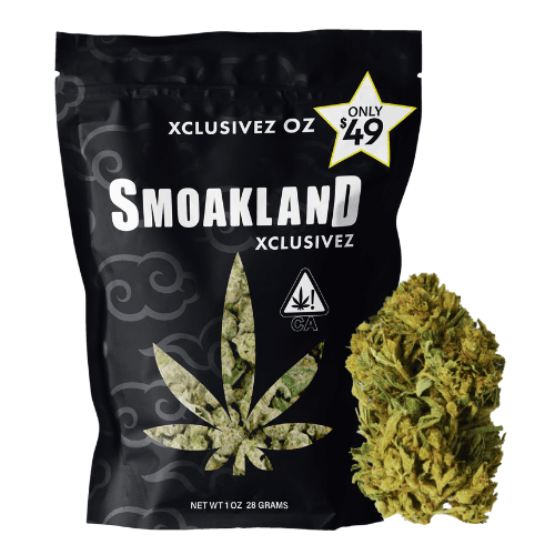 Xclusivez - OG Runtz (I) - 28g