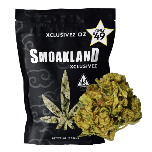 Xclusivez - Tropicana Cherry (S) - 28g