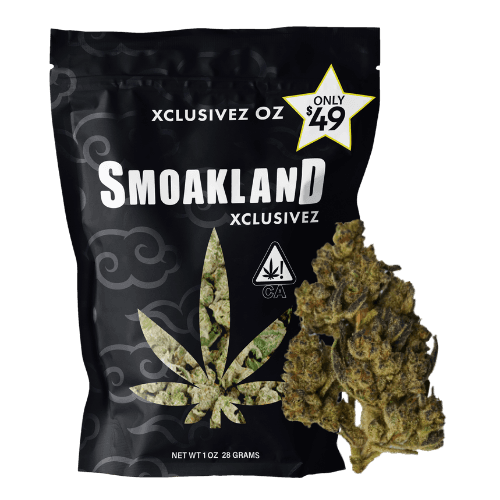 Zkittles (H) - Xclusivez 28g