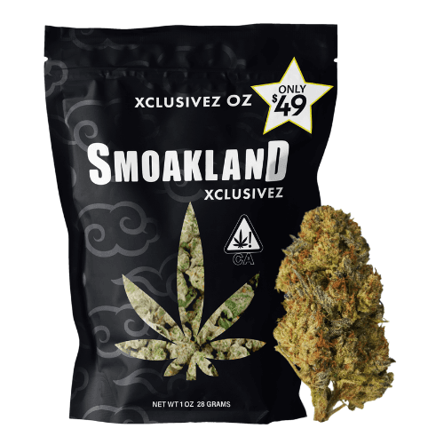 Xclusivez - Tropical Runtz (H) - 28g