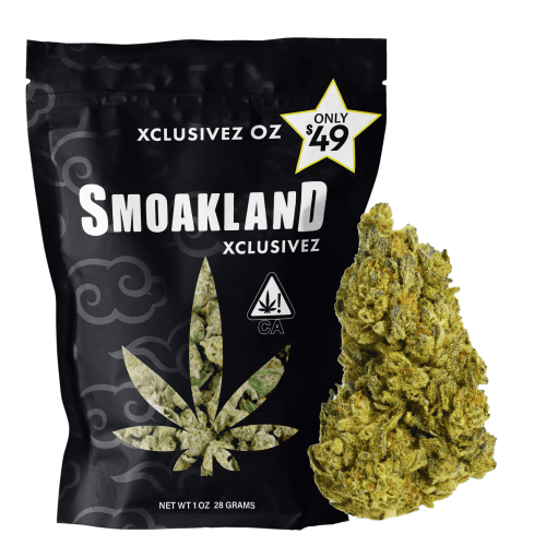 Xclusivez - Oreo Blizzard (H) - 28g